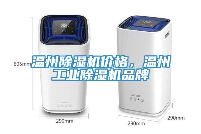 温州小黄片直播视频价格，温州工业小黄片直播视频品牌