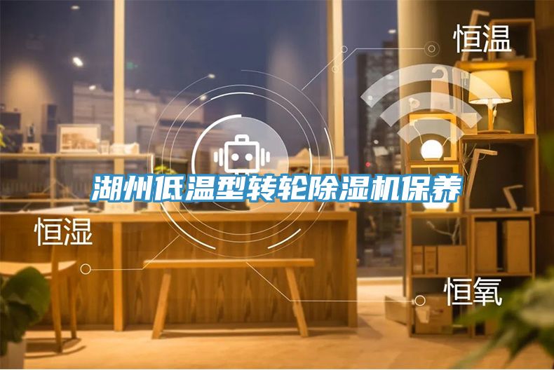 湖州低温型转轮小黄片直播视频保养