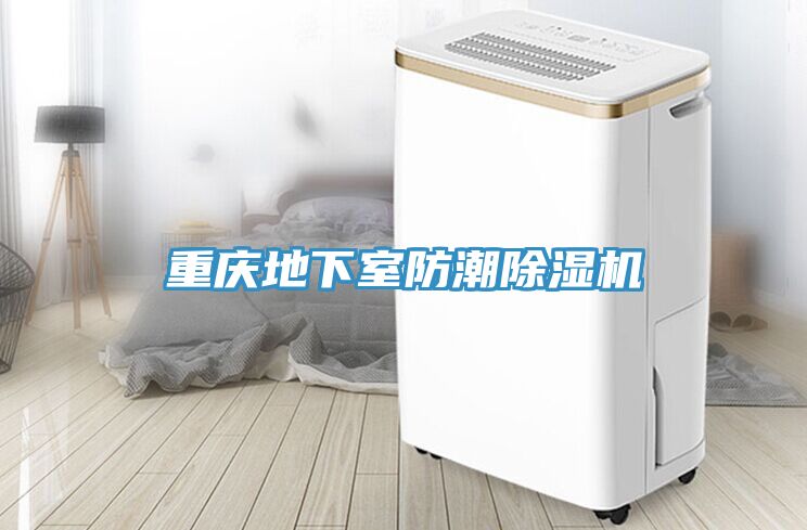 重庆地下室防潮小黄片直播视频