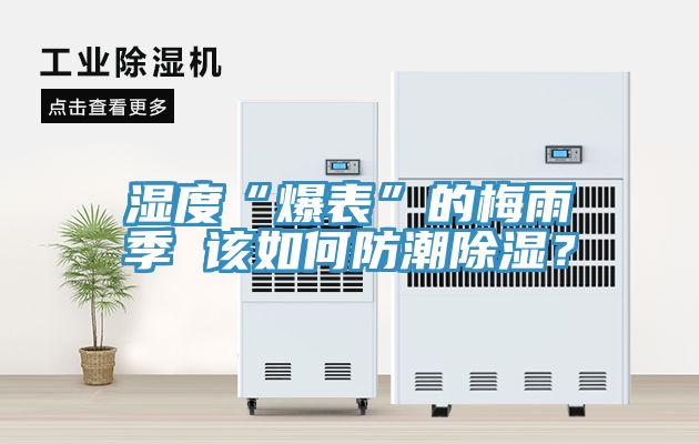 湿度“爆表”的梅雨季 该如何防潮除湿？
