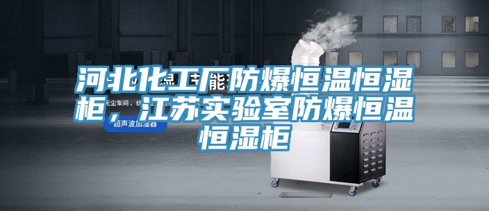 河北化工厂防爆恒温恒湿柜，江苏实验室防爆恒温恒湿柜