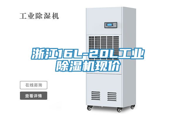 浙江16L-20L工业小黄片直播视频现价