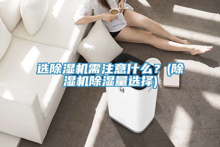 选小黄片直播视频需注意什么？(小黄片直播视频除湿量选择)