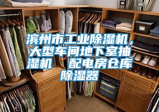 滨州市工业小黄片直播视频，大型车间地下室抽湿机  配电房仓库除湿器