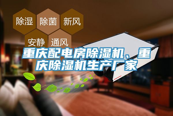 重庆配电房小黄片直播视频、重庆小黄片直播视频生产厂家