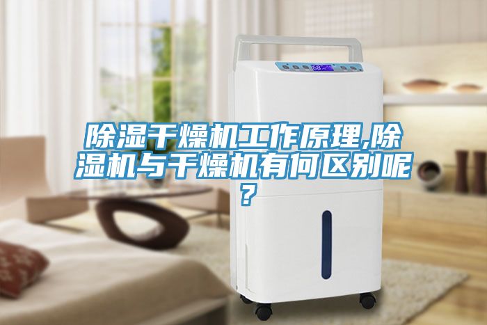 除湿干燥机工作原理,小黄片直播视频与干燥机有何区别呢？