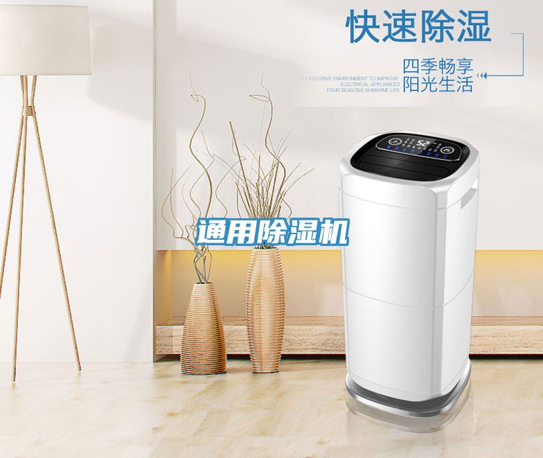 通用小黄片直播视频