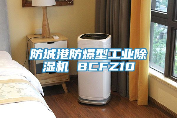 防城港防爆型工业小黄片直播视频 BCFZ10