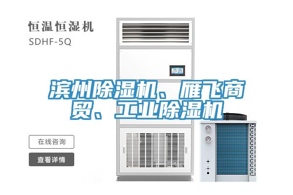 滨州小黄片直播视频、雁飞商贸、工业小黄片直播视频