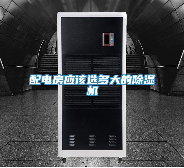 配电房应该选多大的小黄片直播视频