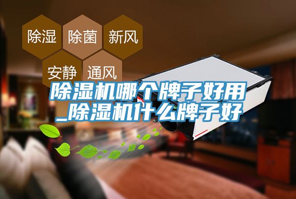 小黄片直播视频哪个牌子好用_小黄片直播视频什么牌子好