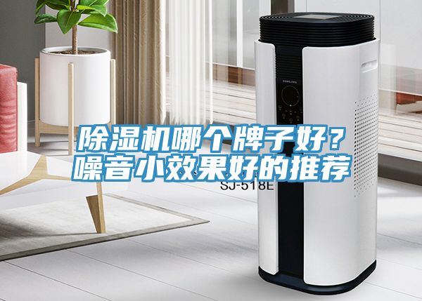 小黄片直播视频哪个牌子好？噪音小效果好的推荐