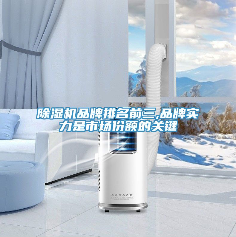 小黄片直播视频品牌排名前三,品牌实力是市场份额的关键