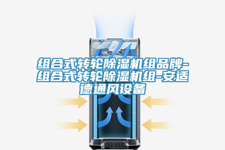 组合式转轮小黄片直播视频组品牌-组合式转轮小黄片直播视频组-安适德通风设备