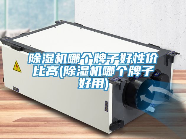 小黄片直播视频哪个牌子好性价比高(小黄片直播视频哪个牌子好用)
