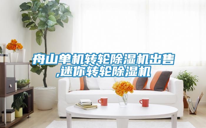 舟山单机转轮小黄片直播视频出售,迷你转轮小黄片直播视频