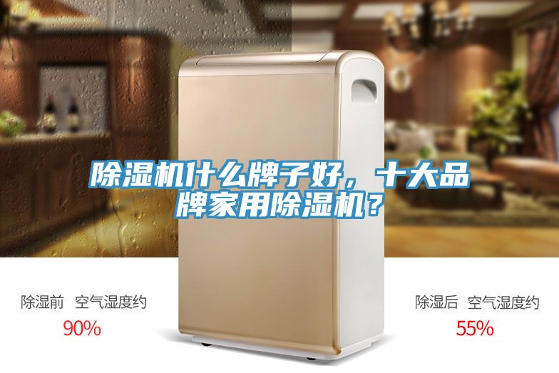 小黄片直播视频什么牌子好，十大品牌家用小黄片直播视频？