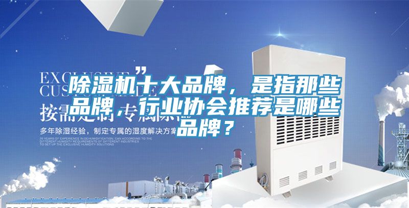小黄片直播视频十大品牌，是指那些品牌，行业协会推荐是哪些品牌？