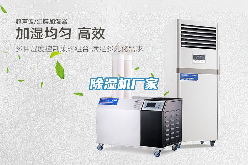 小黄片直播视频厂家