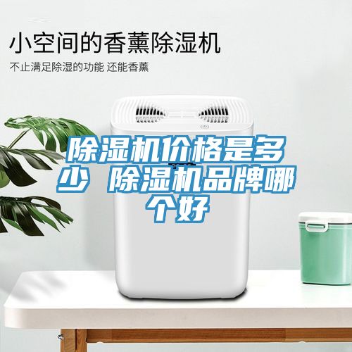 小黄片直播视频价格是多少 小黄片直播视频品牌哪个好