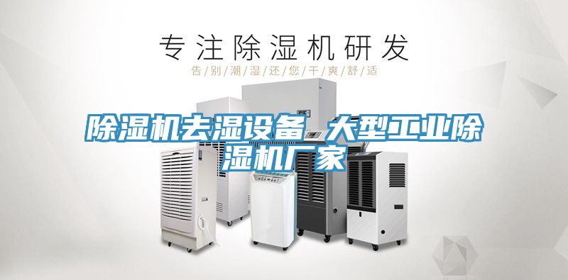 小黄片直播视频去湿设备 大型工业小黄片直播视频厂家