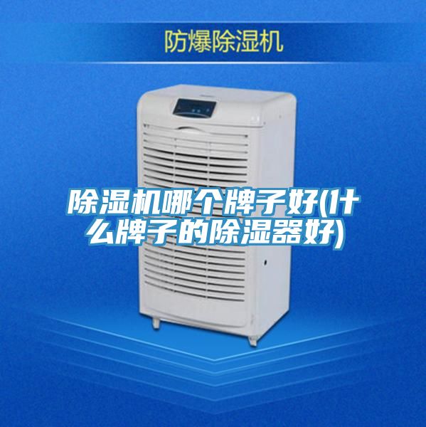 小黄片直播视频哪个牌子好(什么牌子的除湿器好)