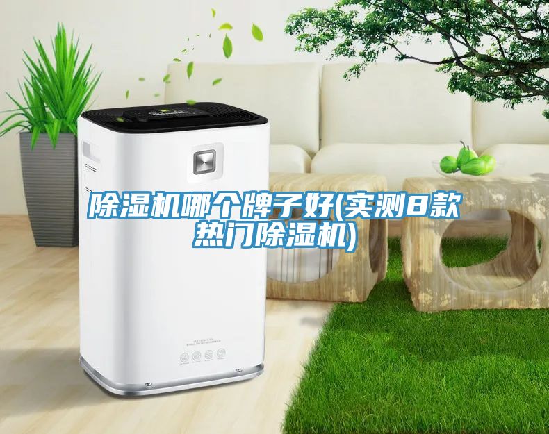 小黄片直播视频哪个牌子好(实测8款热门小黄片直播视频)