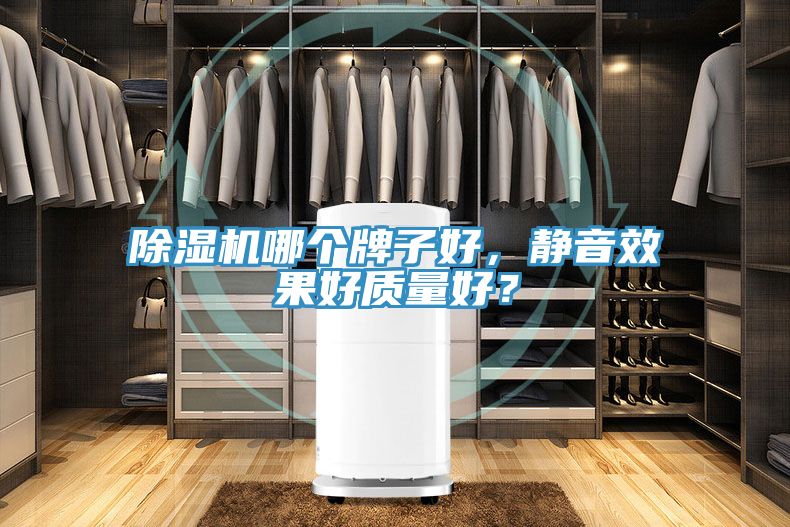 小黄片直播视频哪个牌子好，静音效果好质量好？