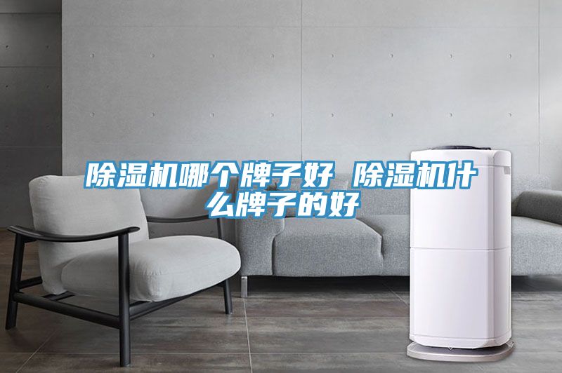 小黄片直播视频哪个牌子好 小黄片直播视频什么牌子的好