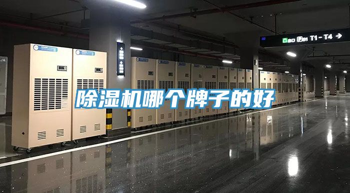 小黄片直播视频哪个牌子的好