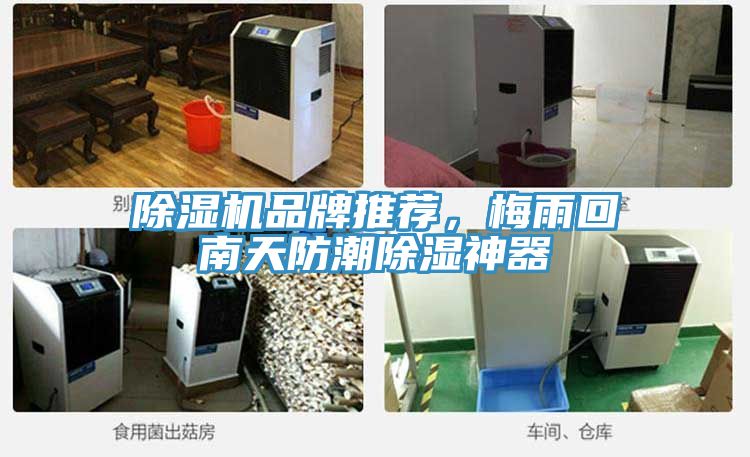 小黄片直播视频品牌推荐，梅雨回南天防潮除湿神器