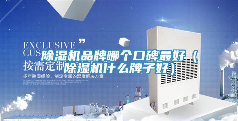 小黄片直播视频品牌哪个口碑最好（小黄片直播视频什么牌子好）