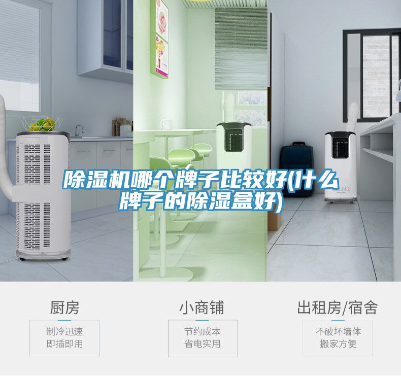 小黄片直播视频哪个牌子比较好(什么牌子的除湿盒好)