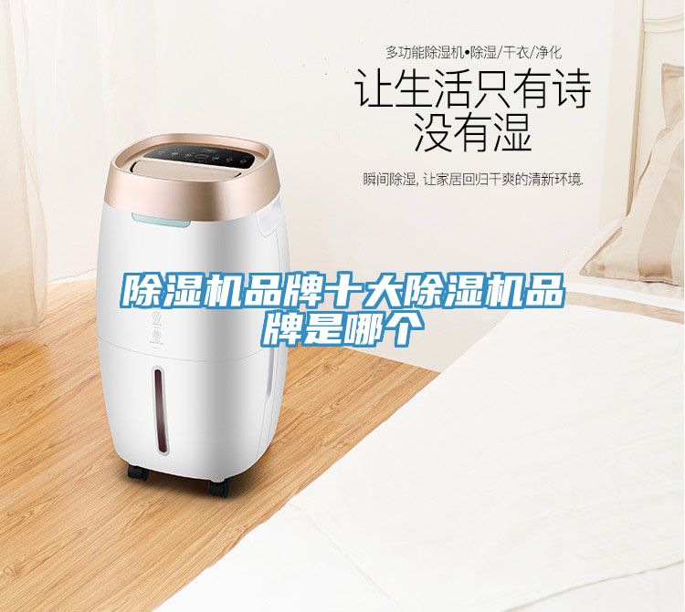 小黄片直播视频品牌十大小黄片直播视频品牌是哪个