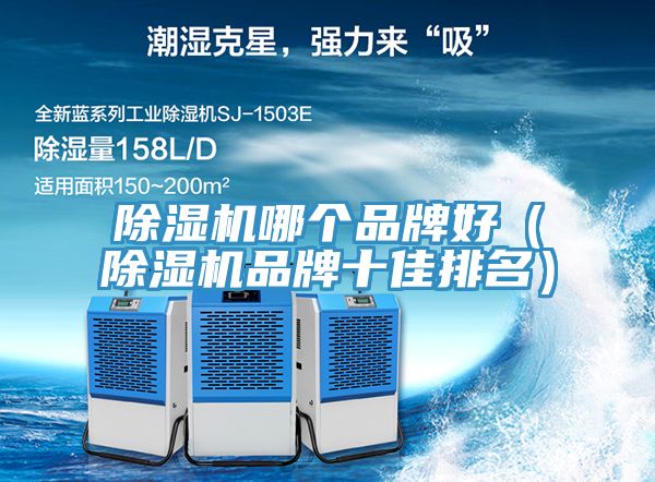 小黄片直播视频哪个品牌好（小黄片直播视频品牌十佳排名）