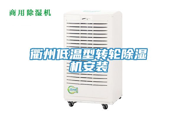 衢州低温型转轮小黄片直播视频安装