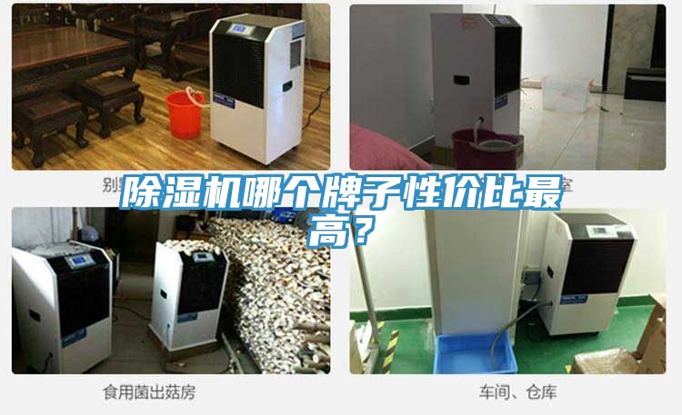 小黄片直播视频哪个牌子性价比最高？