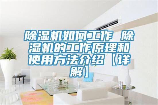 小黄片直播视频如何工作 小黄片直播视频的工作原理和使用方法介绍【详解】