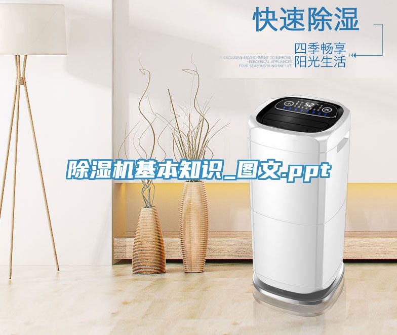 小黄片直播视频基本知识_图文.ppt
