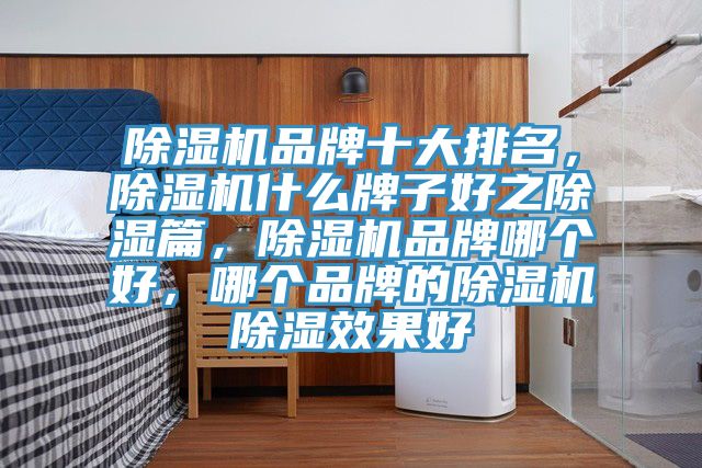 小黄片直播视频品牌十大排名，小黄片直播视频什么牌子好之除湿篇，小黄片直播视频品牌哪个好，哪个品牌的小黄片直播视频除湿效果好