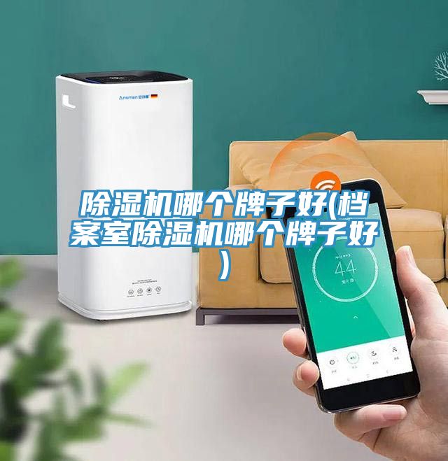 小黄片直播视频哪个牌子好(档案室小黄片直播视频哪个牌子好)