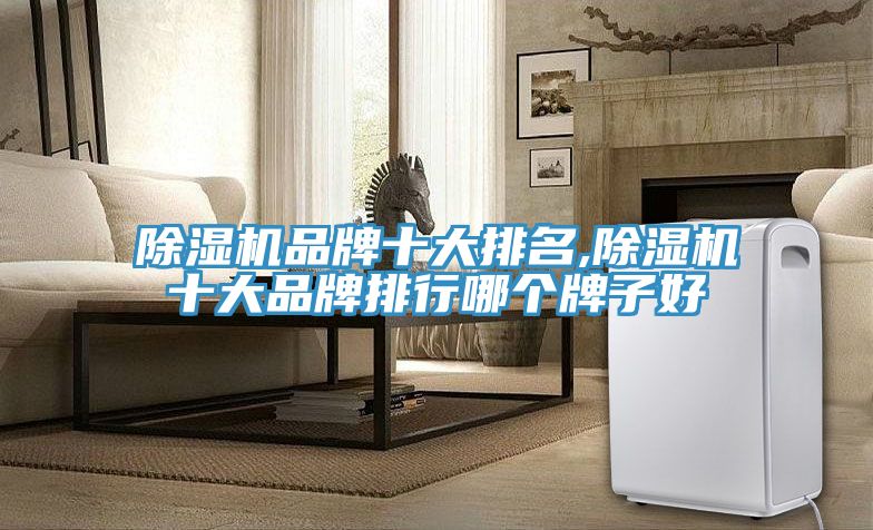 小黄片直播视频品牌十大排名,小黄片直播视频十大品牌排行哪个牌子好