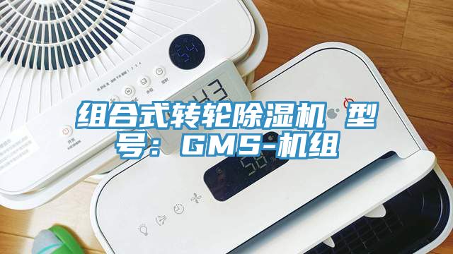 组合式转轮小黄片直播视频 型号：GMS-机组