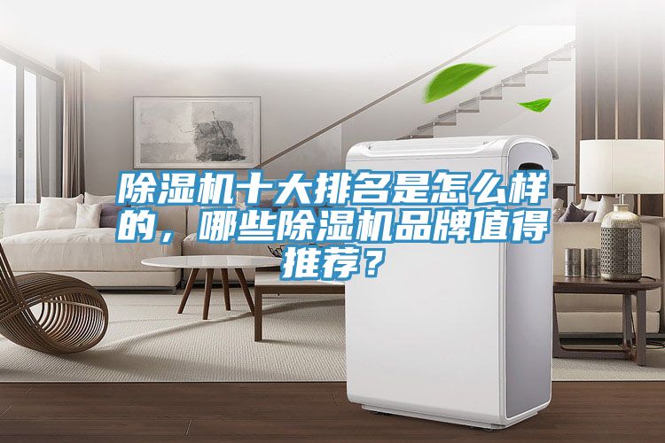 小黄片直播视频十大排名是怎么样的，哪些小黄片直播视频品牌值得推荐？