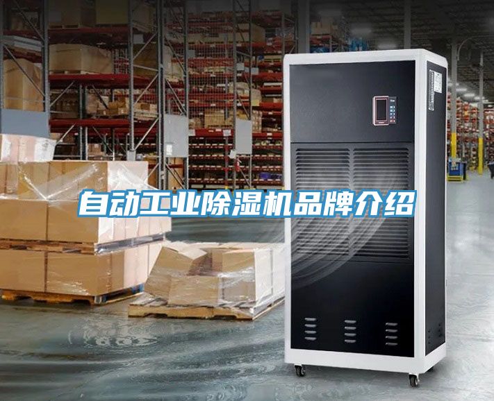 自动工业小黄片直播视频品牌介绍