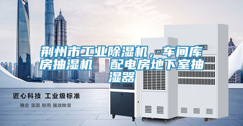 荆州市工业小黄片直播视频，车间库房抽湿机  配电房地下室抽湿器