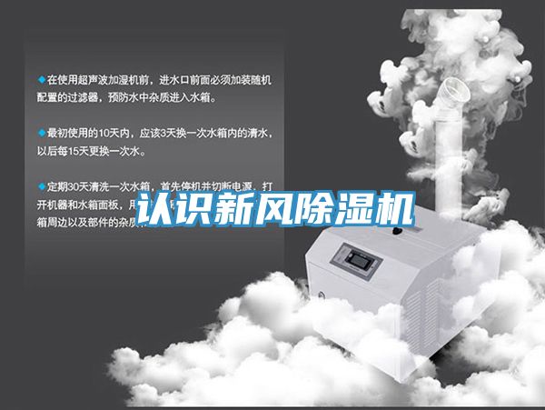 认识新风小黄片直播视频