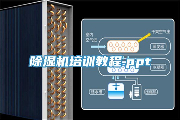 小黄片直播视频培训教程.ppt