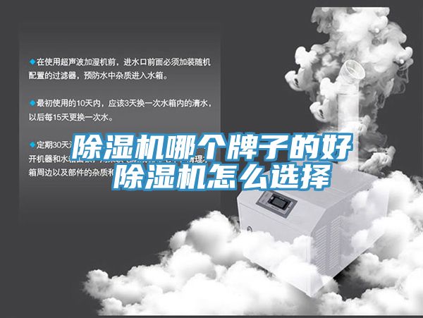 小黄片直播视频哪个牌子的好 小黄片直播视频怎么选择