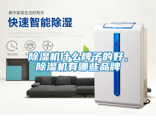 小黄片直播视频什么牌子的好，小黄片直播视频有哪些品牌
